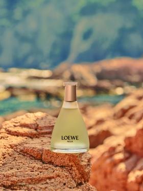 LOEWE Perfumes, se une a la Asociación Vellmarí para lanzar un proyecto de preservación del ecosistema mediterráneo.